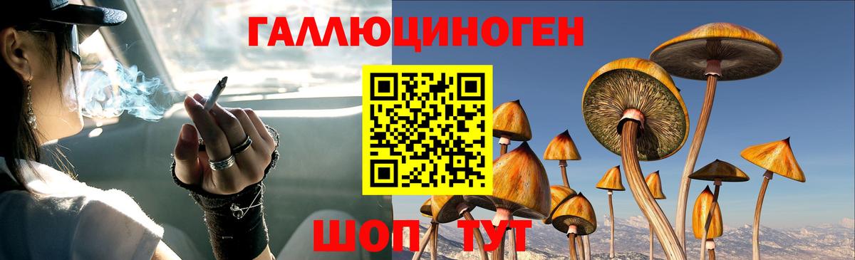 Галлюциногенные грибы прущие грибы Гусь-Хрустальный